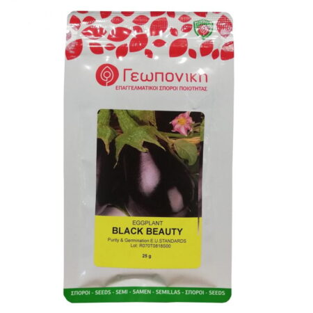 Μελιτζάνα Φλάσκα Black Beauty 25gr