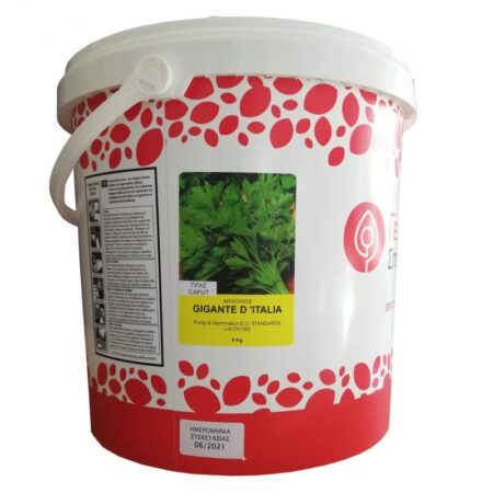 Μαϊντανός Gigante Italia sel. Caput 5kg