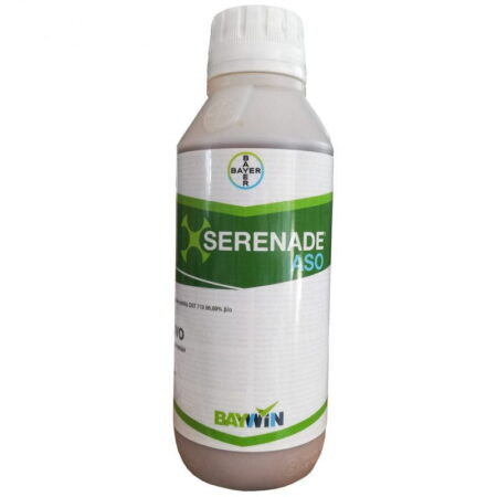 Serenade Aso