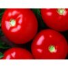 Τομάτα Αυτοκλαδευόμενη Mountain Fresh Plus 1000 σπ.