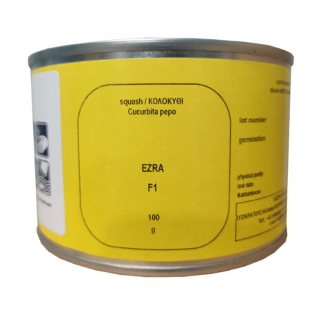 Κολοκύθι Ezra F1 100gr