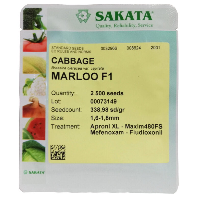 Λάχανο Marloo F1 2500 σπ.