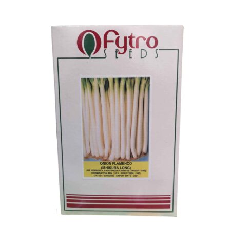 Κρεμμύδι Χλωρό Flamenco (Ishikura Long) 500gr