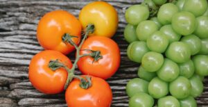 Agroplace - Φυτοφάρμακα - 10 χρήσιμες συμβουλές για ασφαλή χρήση στο σπίτι