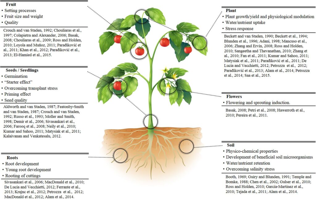 Agroplace - Κατανόηση των βιοδιεγερτικών - Τι είναι και πώς ωφελούν τα φυτά