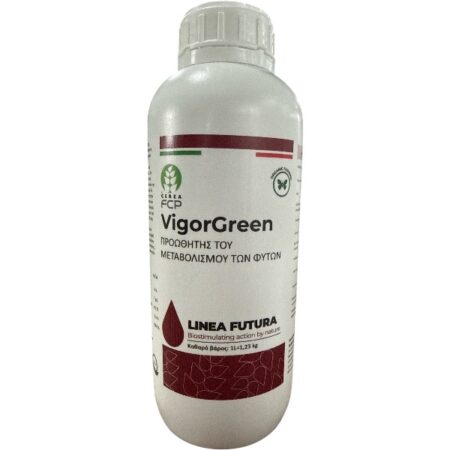 Vigor Green Προωθητής Μεταβολισμού 1Lt