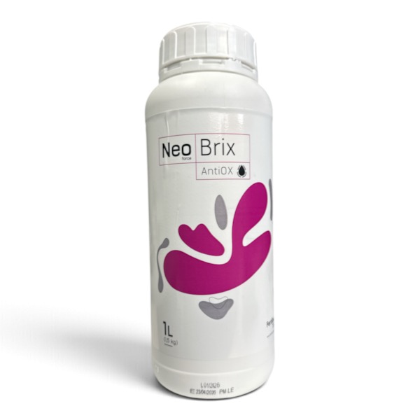 Neoforce Brix AntiOx 1lt